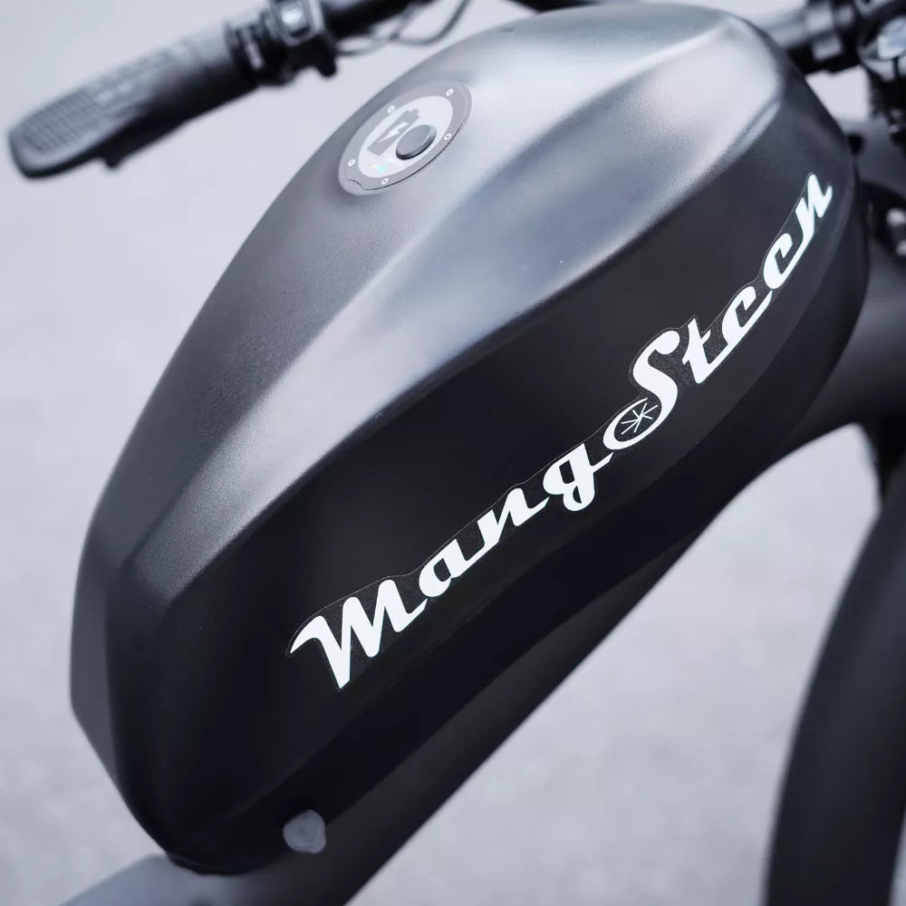 Mangostan FT02 EEC-Chopper-Bike