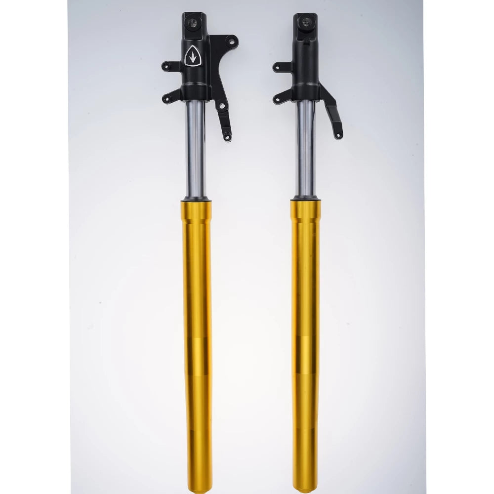 Mangosteen Front shock absorber
