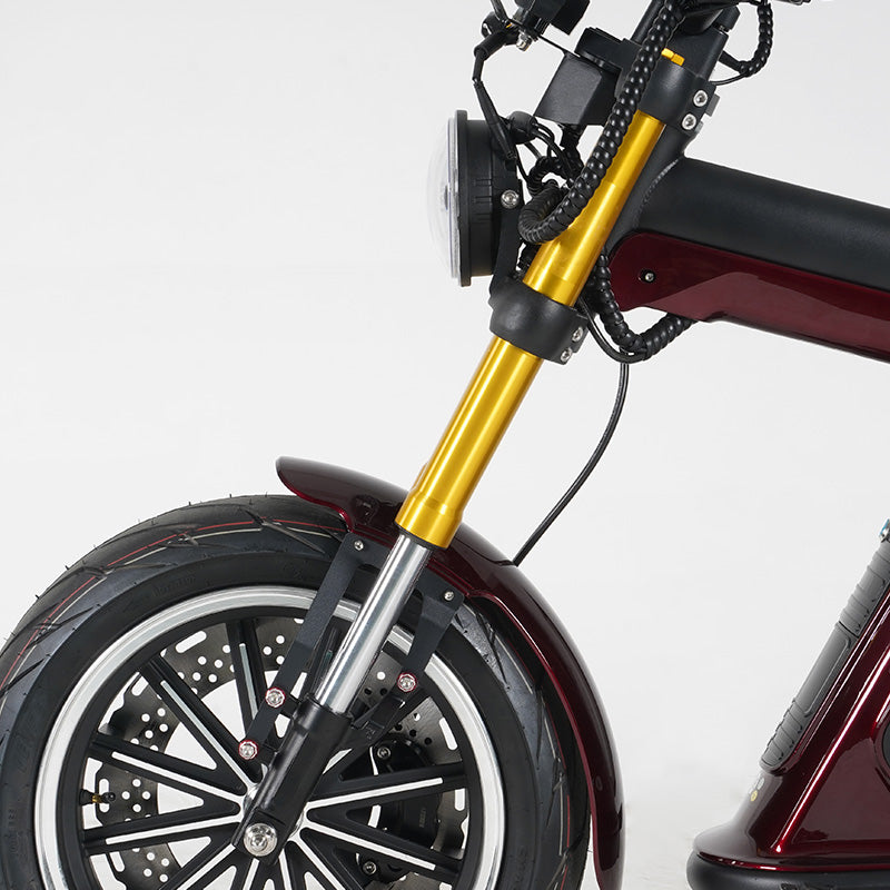 Mangosteen Scooter M8S Gold Front Shock Absorber (custom)