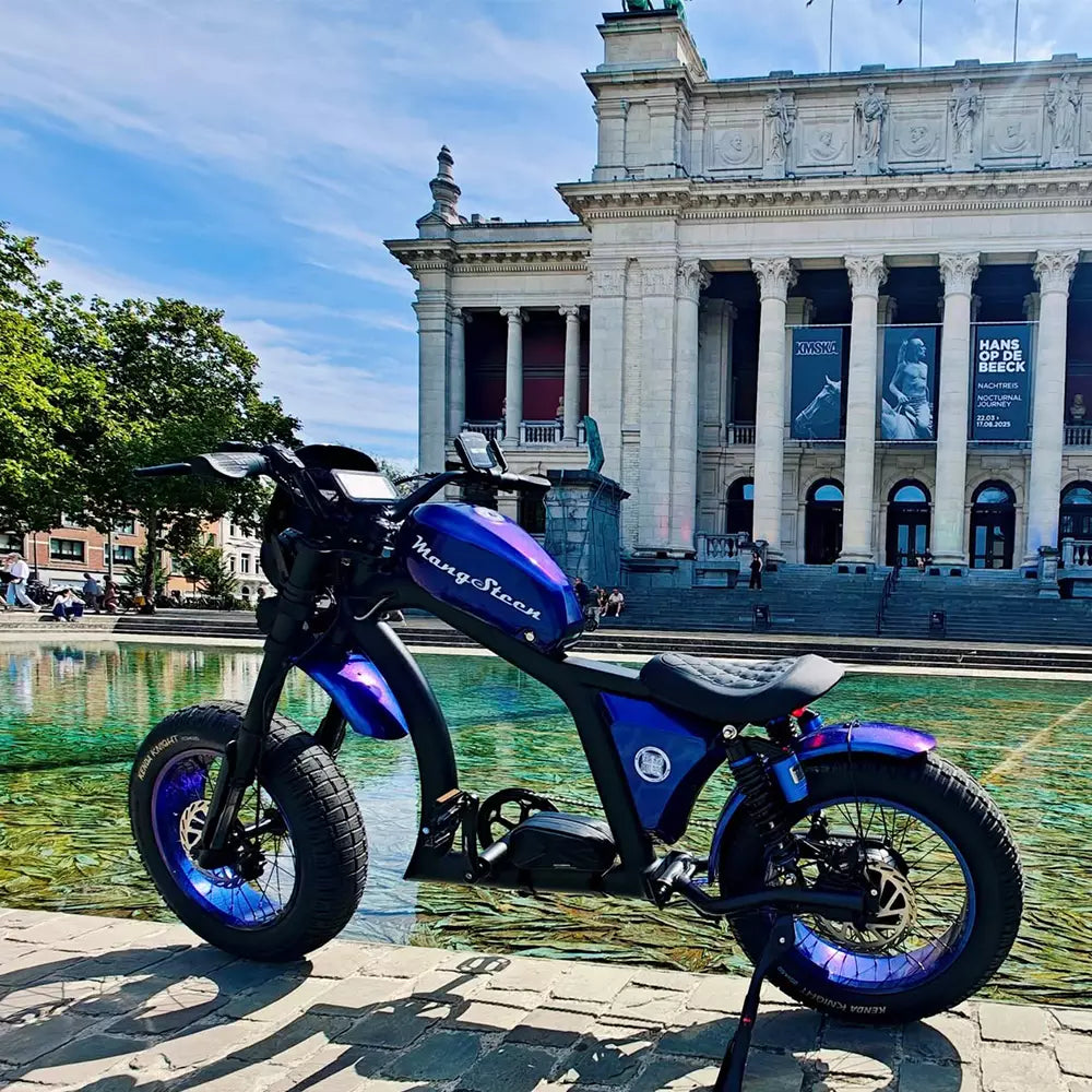 Vélo chopper Mangosteen FT02 EEC