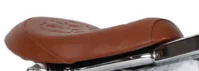 Mangosteen Scooter-Sitzkissen (kundenspezifisch) M2