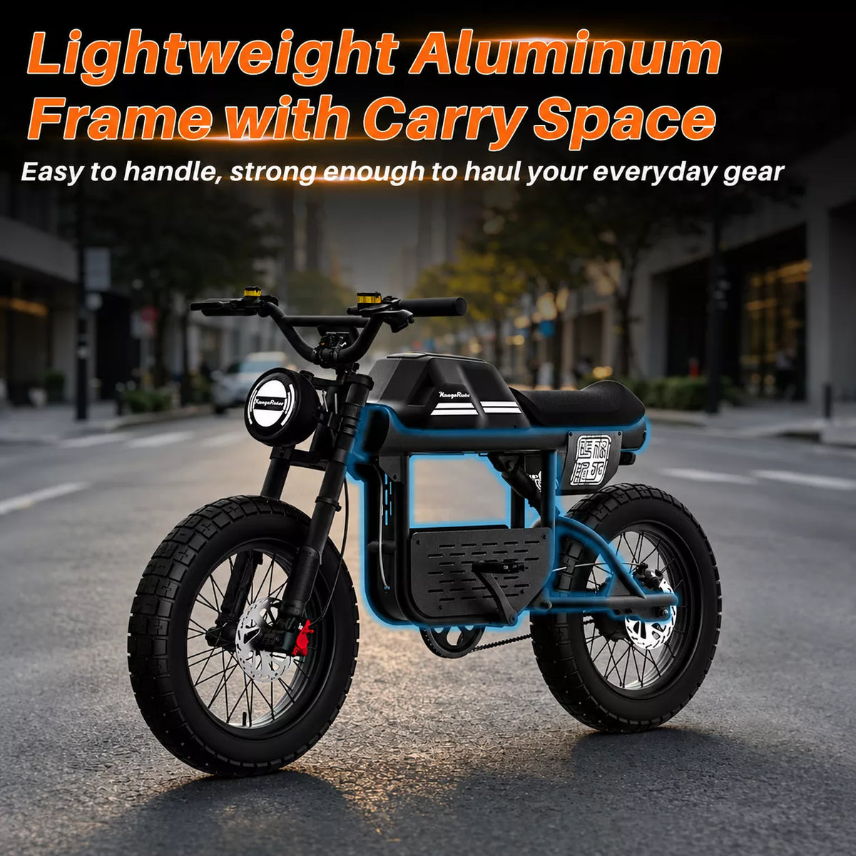 Mangosteen FT01  Ebike 48v 30AH