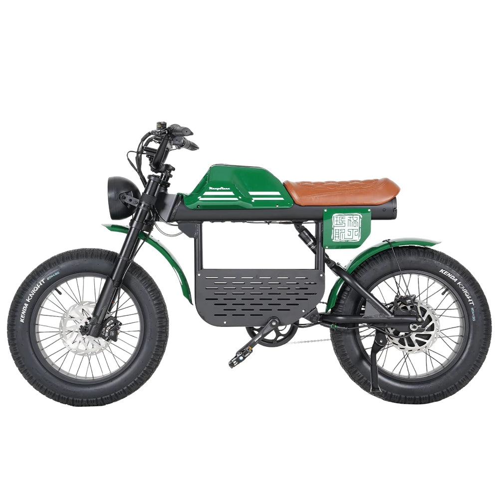 Mangosteen FT01  Ebike 48v 31.5AH