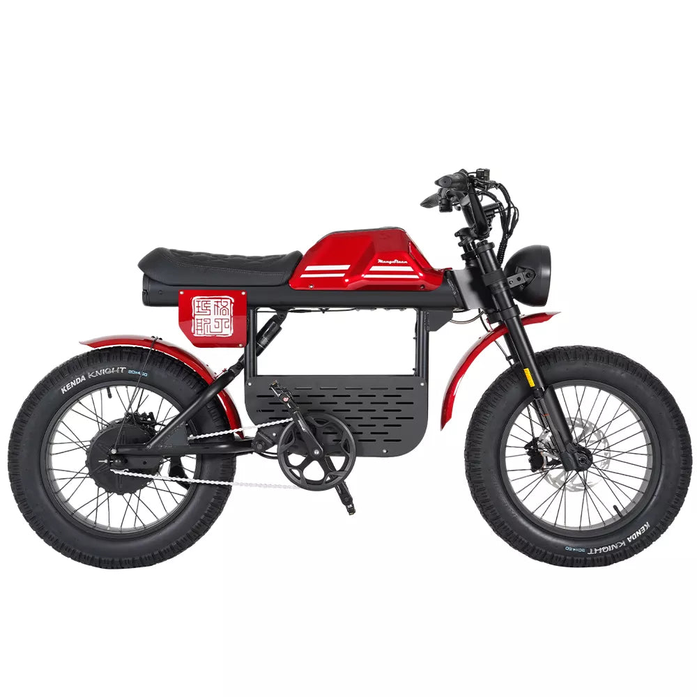 Mangosteen FT01  Ebike 48v 31.5AH