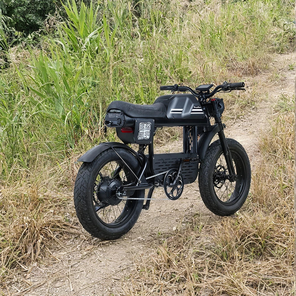 Mangosteen FT01  Electric Chopper Bike(45 days delivery)