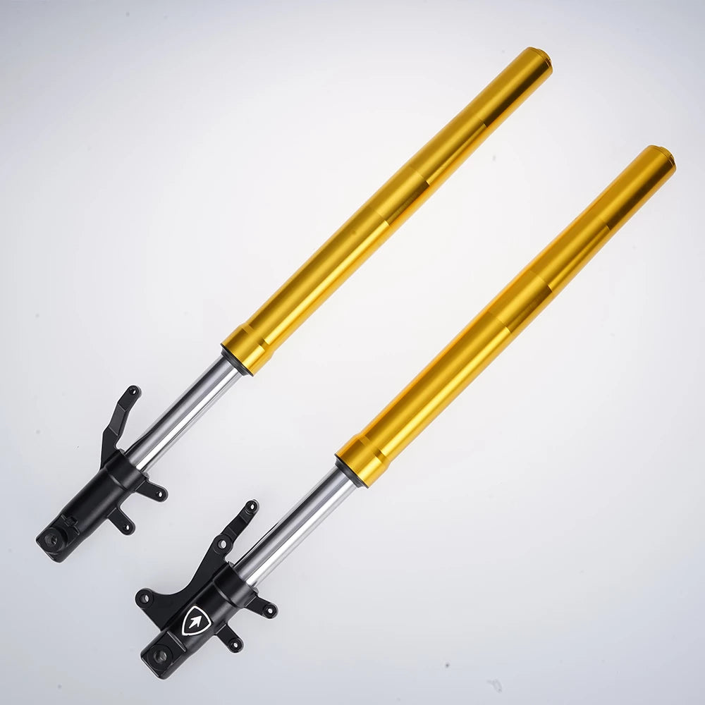 Mangosteen Front shock absorber