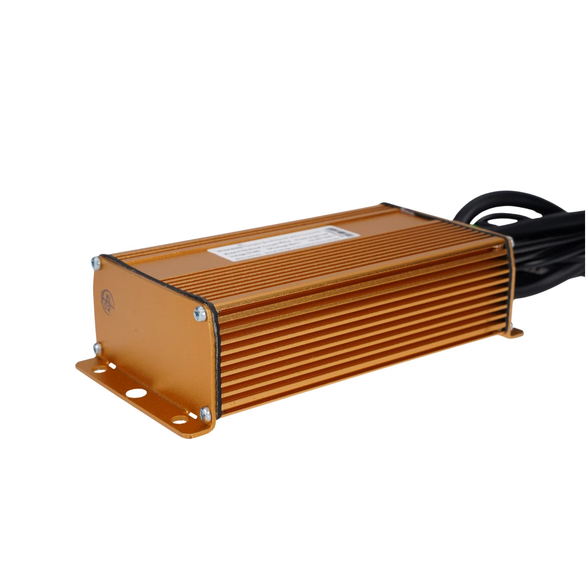 Mangosteen FT02 Controller 48 V und 52 V