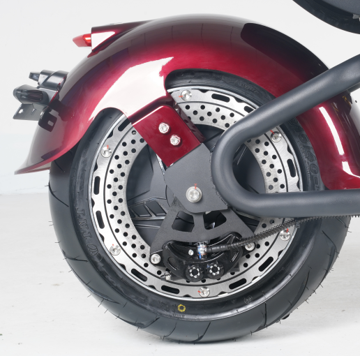 Mangosteen Electric Motorcycle Citycoco Scooter M8S Custom