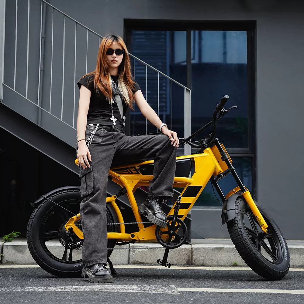 Mangosteen FT03 Electric Bike for Adult