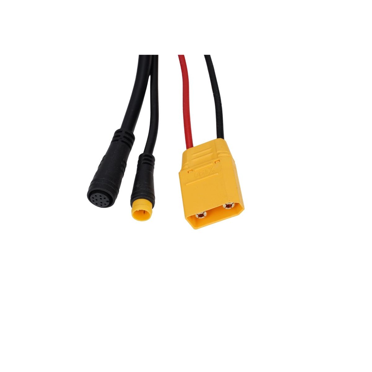 Mangosteen FT02 Controller 48 V und 52 V