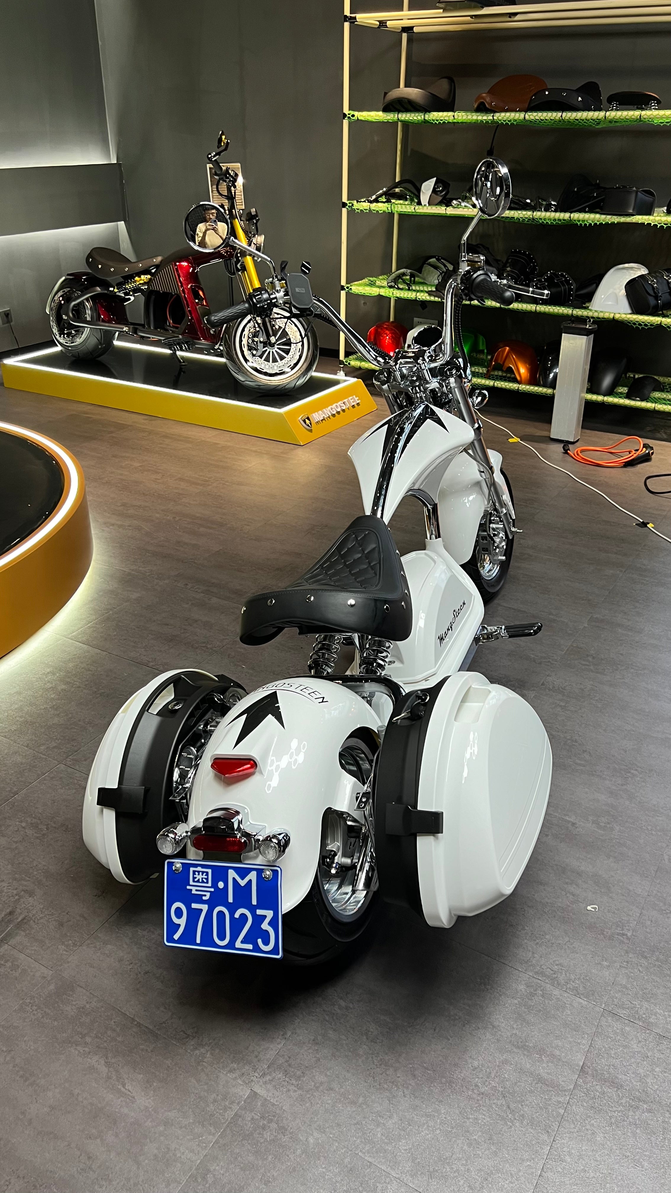 Mangosteen Scooter Side Boxes (custom)