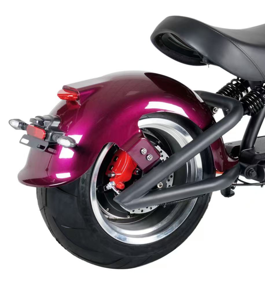 Mangosteen E Scooter Fender (regular)