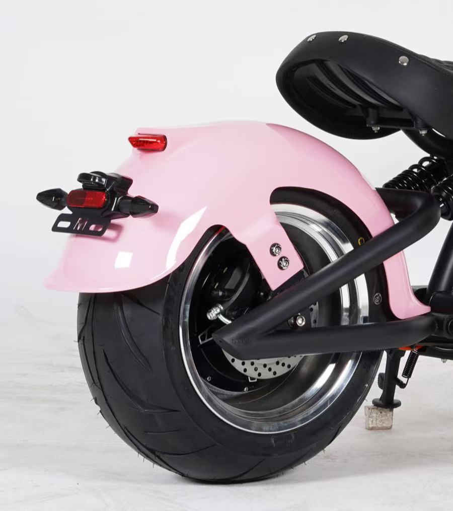 Mangosteen E Scooter Fender (regular)
