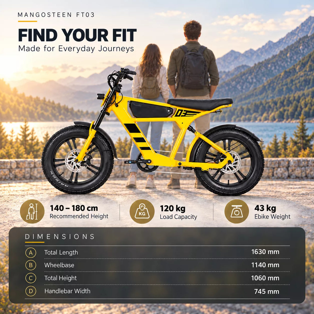 Bicicletta elettrica Mangosteen FT03 per adulti