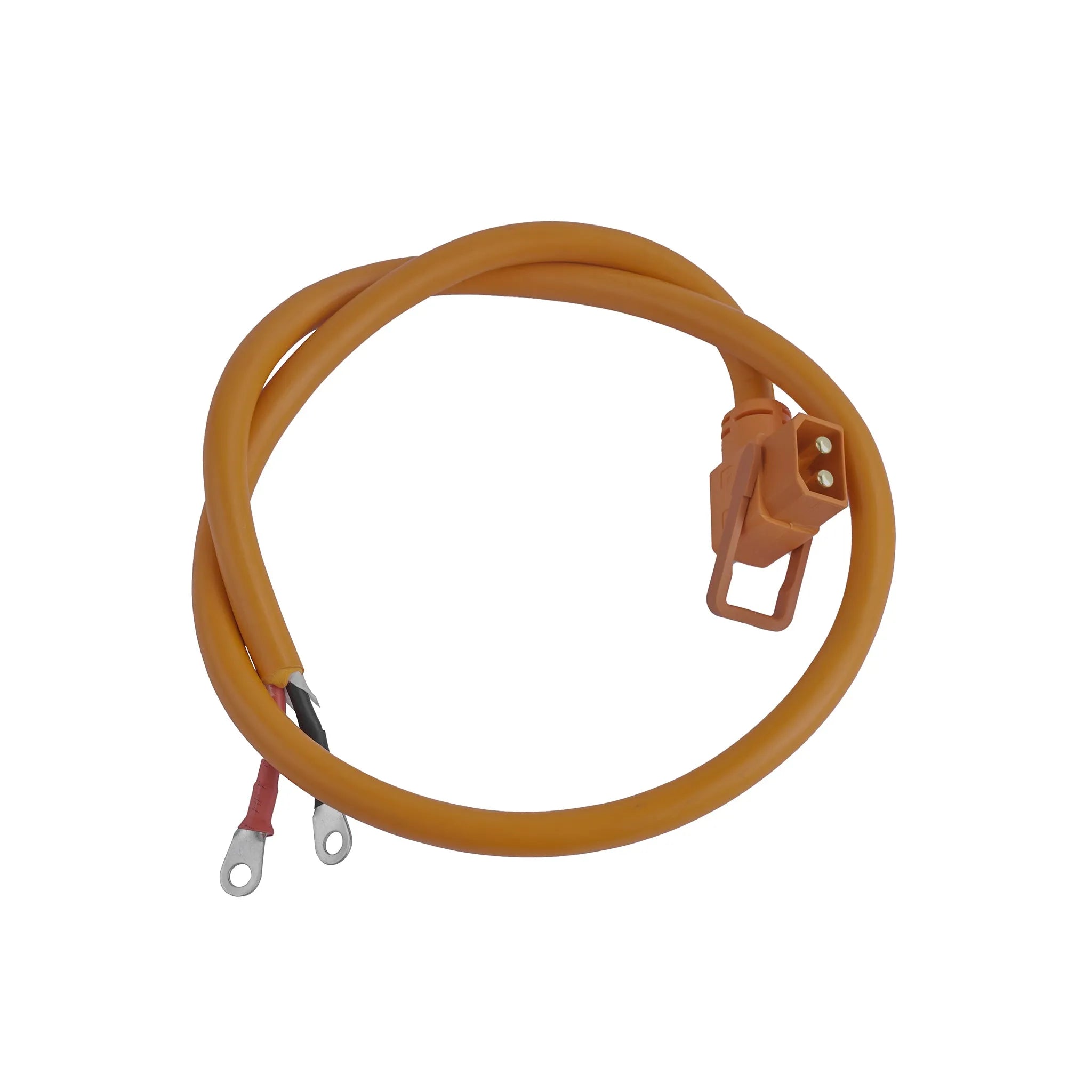 Mangosteen Battery Power Wire (regular)