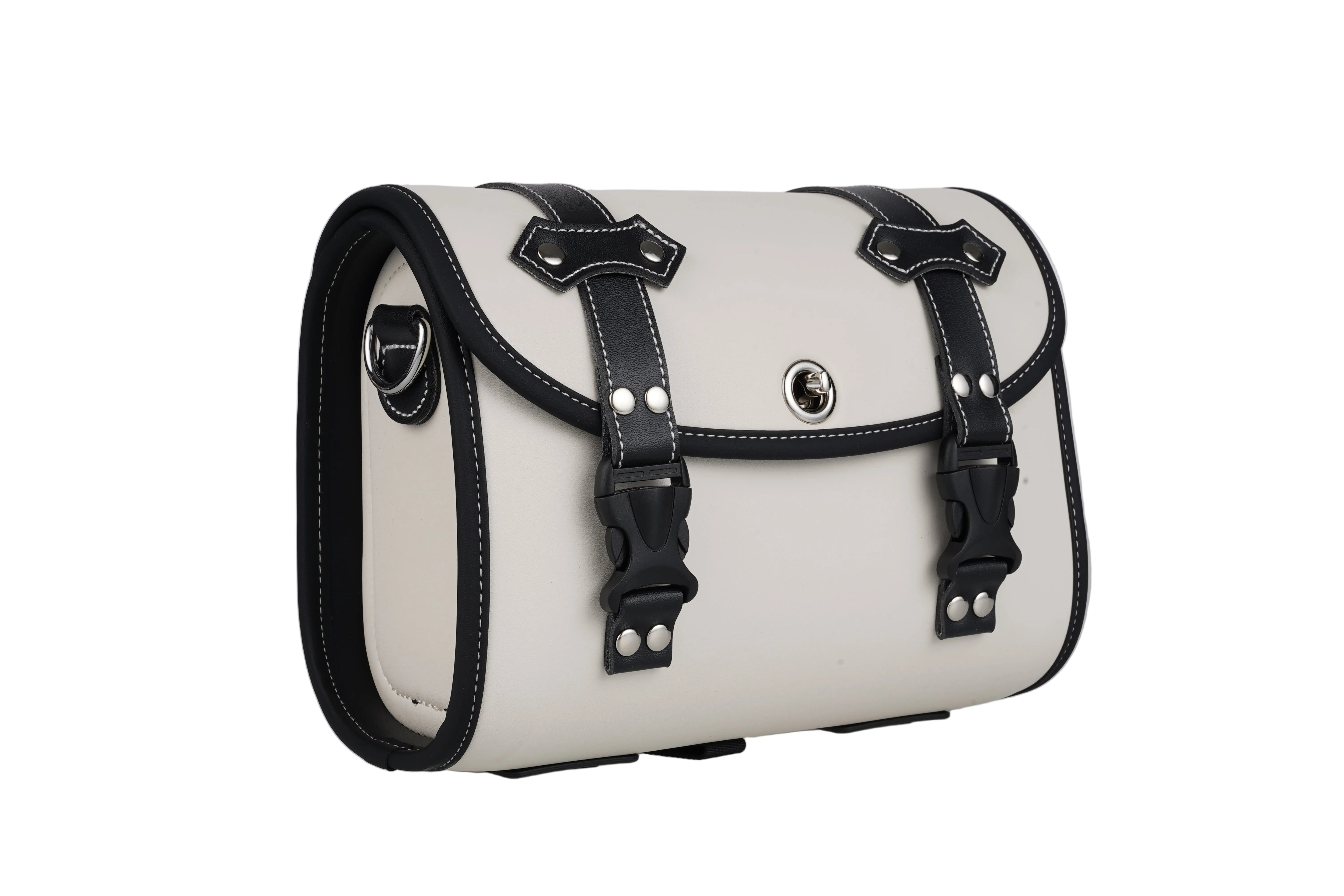 Mangosteen Leather Saddle Bags (custom) for /M1P/M1PS/FT02
