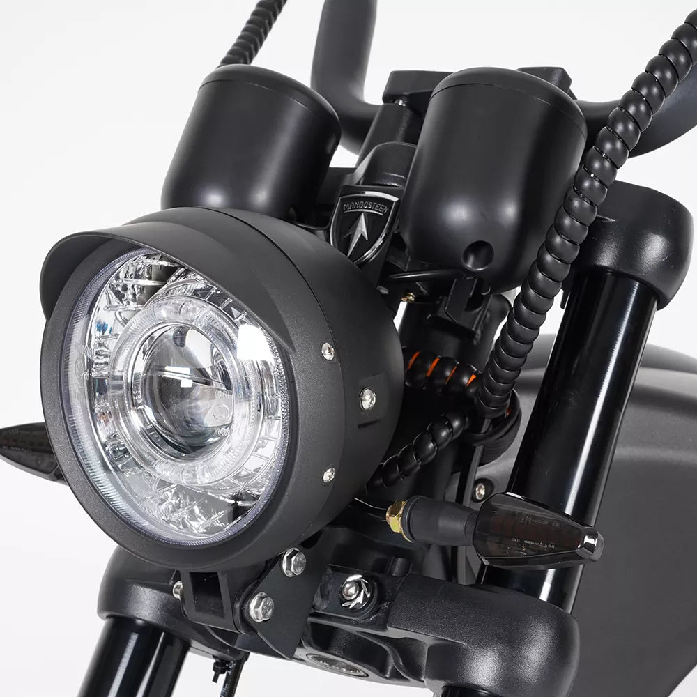 Mangosteen M1P Citycoco Electric Bike Scooter （New upgraded model）