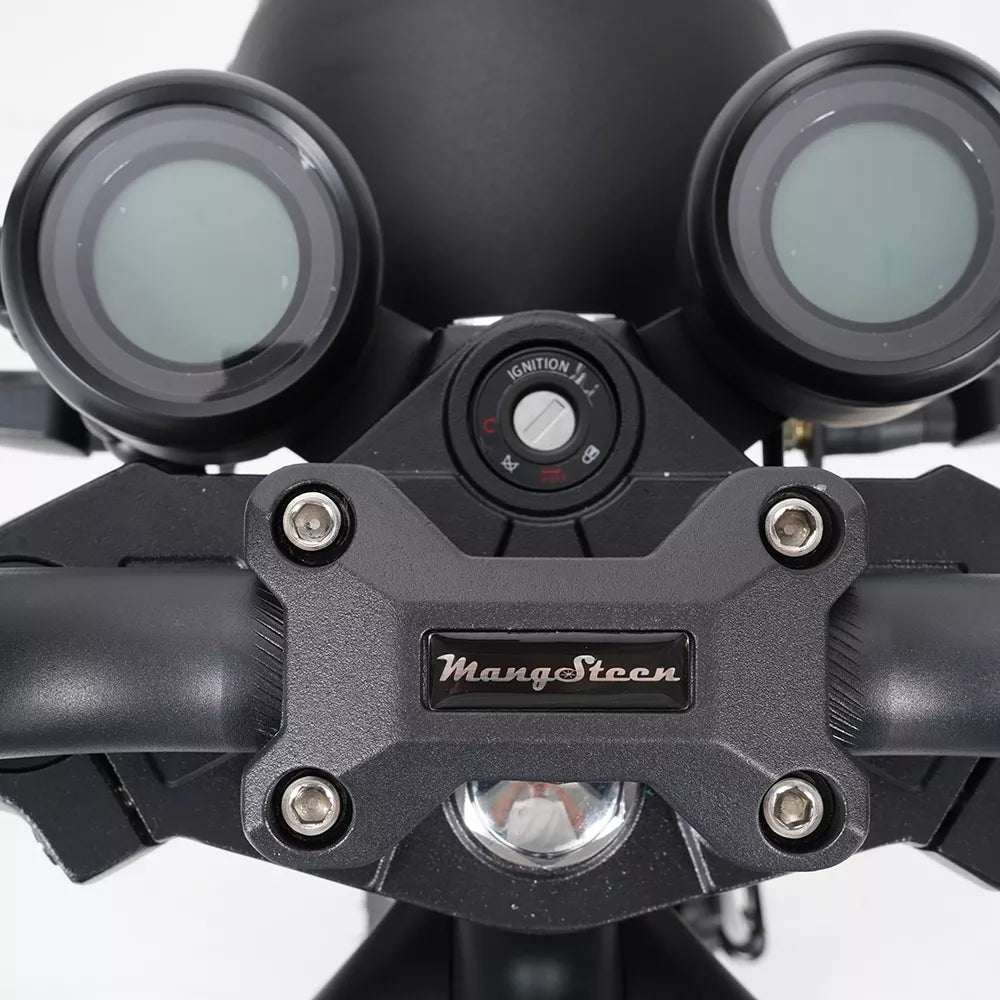 Mangosteen M1P Citycoco Electric Bike Scooter （New upgraded model）