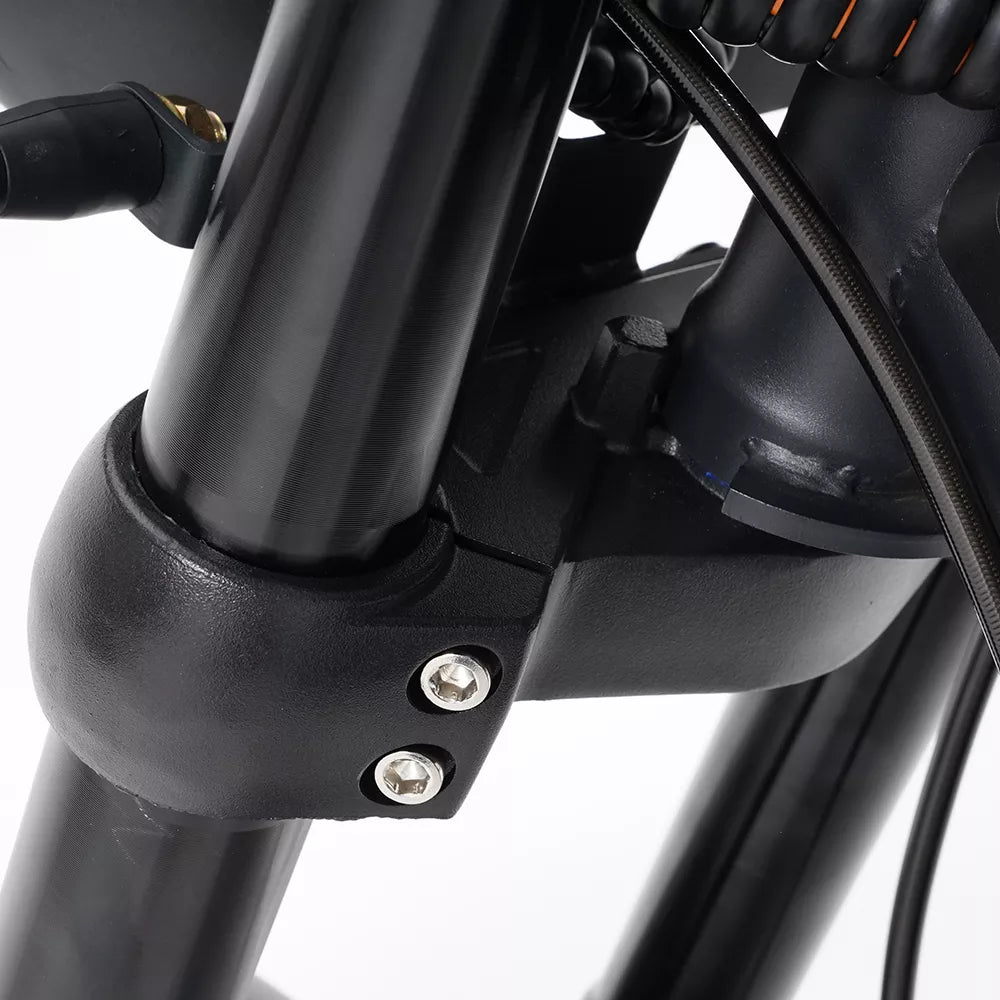 Mangosteen M1P Citycoco Electric Bike Scooter （New upgraded model）