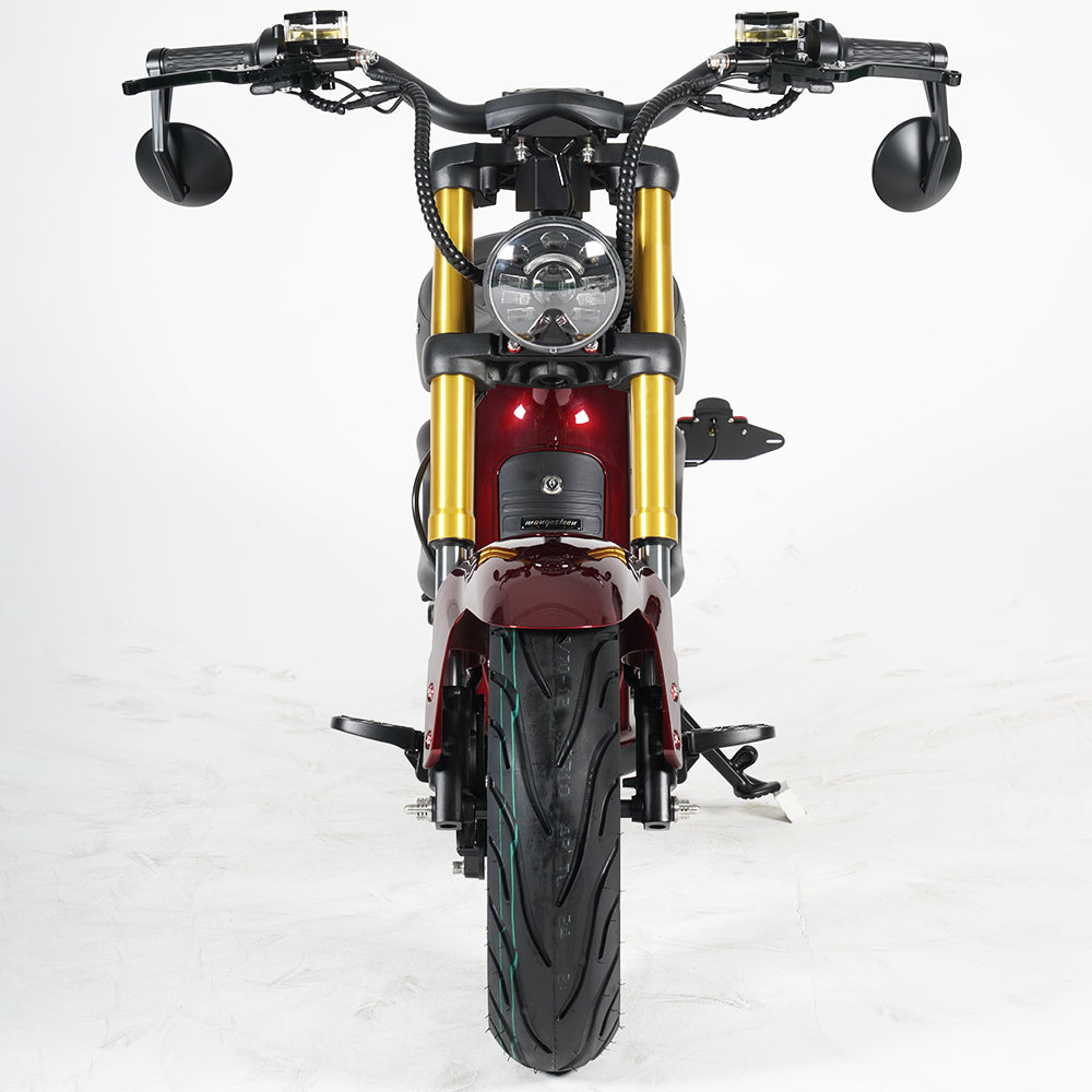 Mangosteen Electric Motorcycle Citycoco Scooter M8S Custom