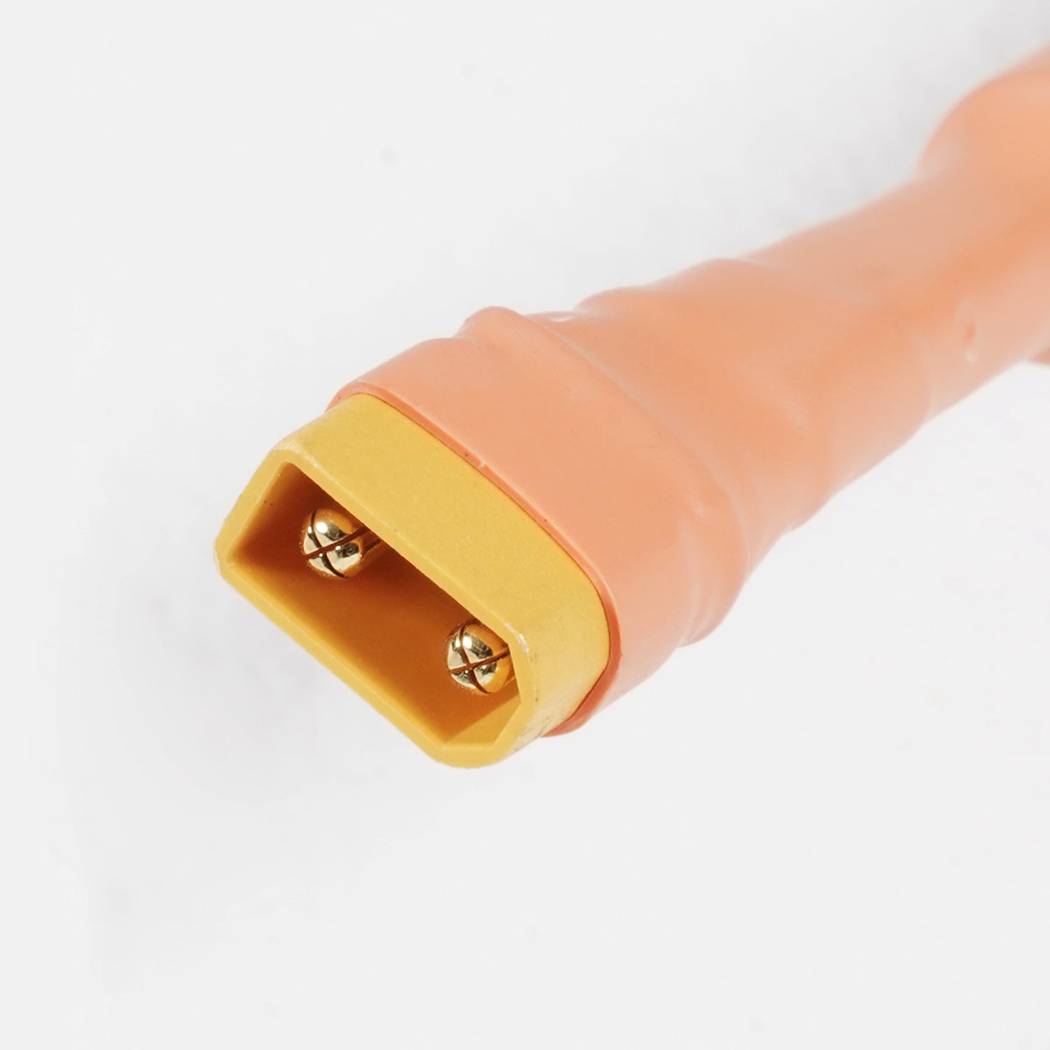 Mangosteen Citycoco Charging Port Plus for M1PS
