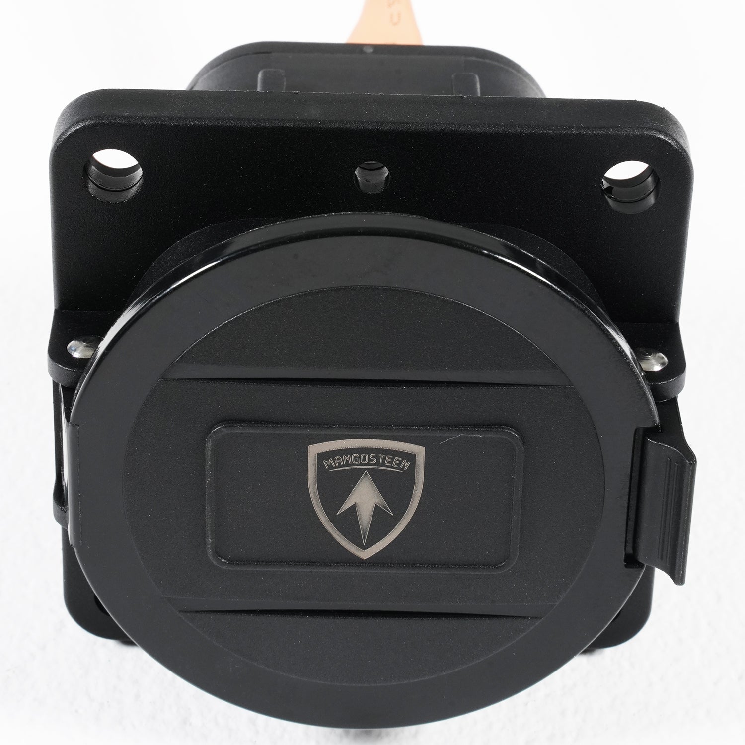 Mangosteen Citycoco Charging Port Plus for M1PS