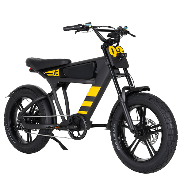 Mangosteen Student Ebike FT03 Best Bicycle for College Students