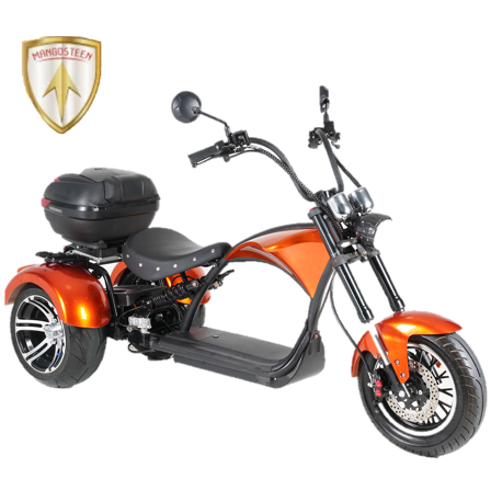 Mangosteen Scooter with Sidecar for Sale M1P