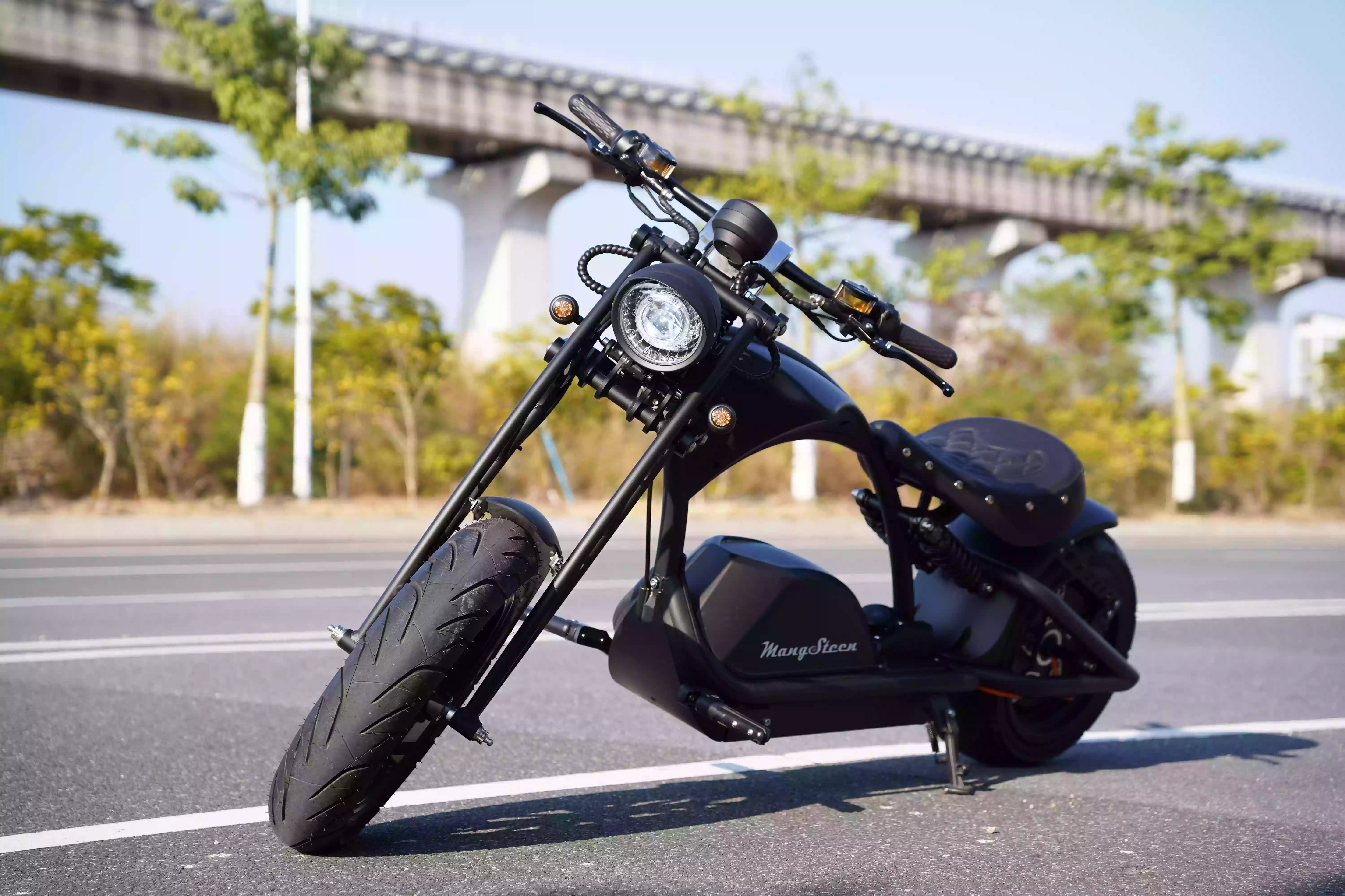 M1PS Multi-Link Front Shock Absorber Conversion Kit (Custom)