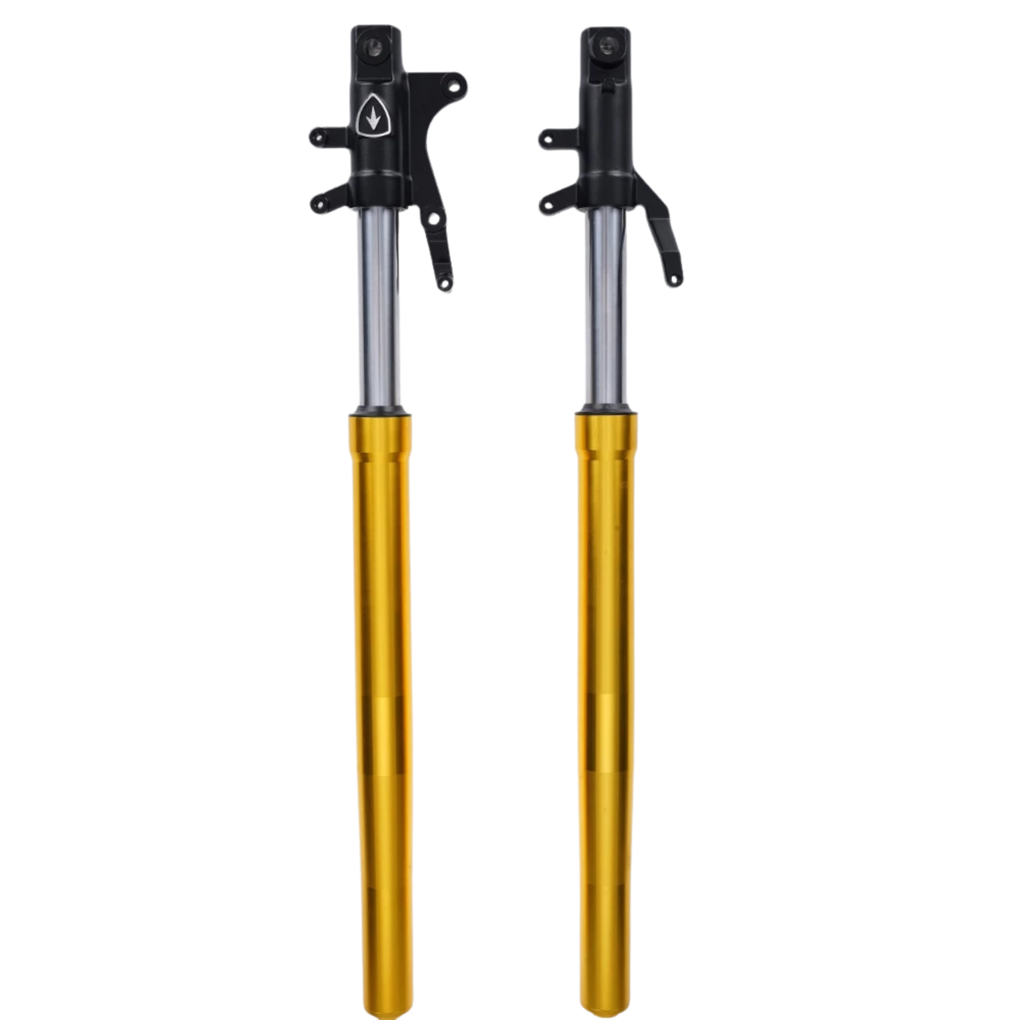 Mangosteen Front shock absorber