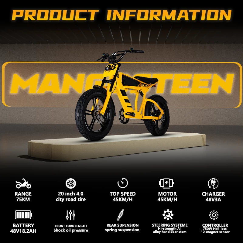 Mangosteen Student Ebike FT03 Best Bicycle for College Students