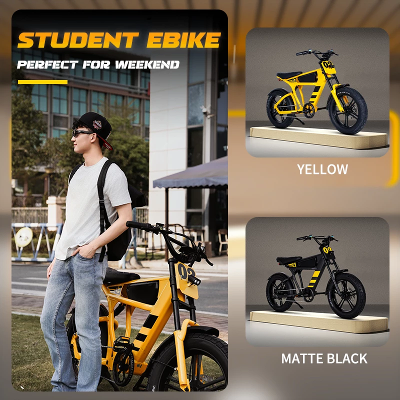 Mangosteen Student Ebike FT03 Best Bicycle for College Students