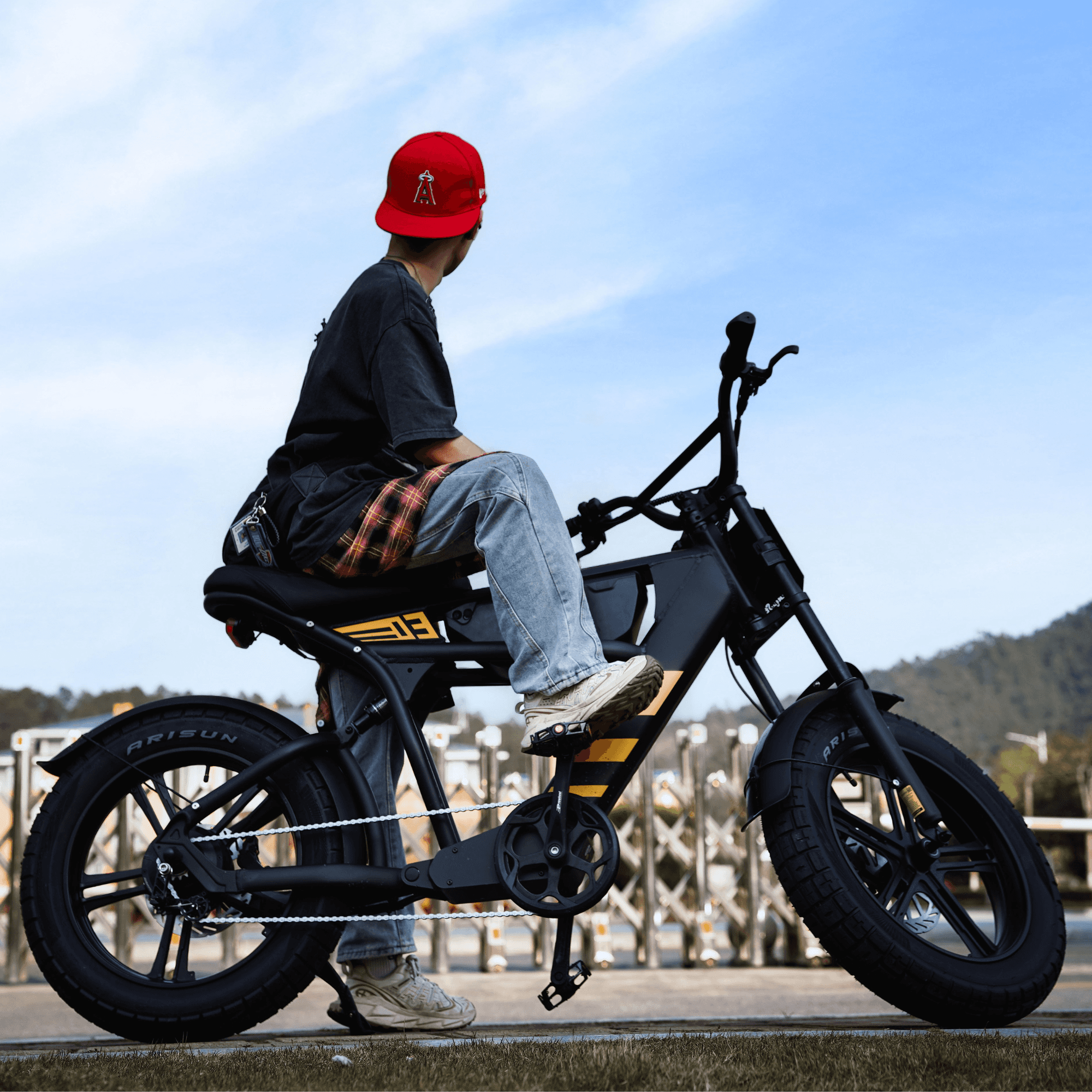 Mangosteen FT03 Electric Bike for Adult