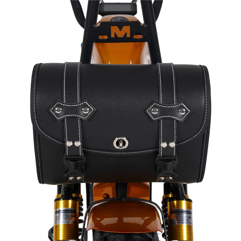 Mangosteen Leather Saddle Bags (custom) for /M1P/M1PS/FT02