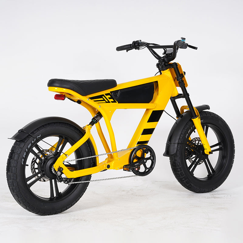 college students ebike wholesale
