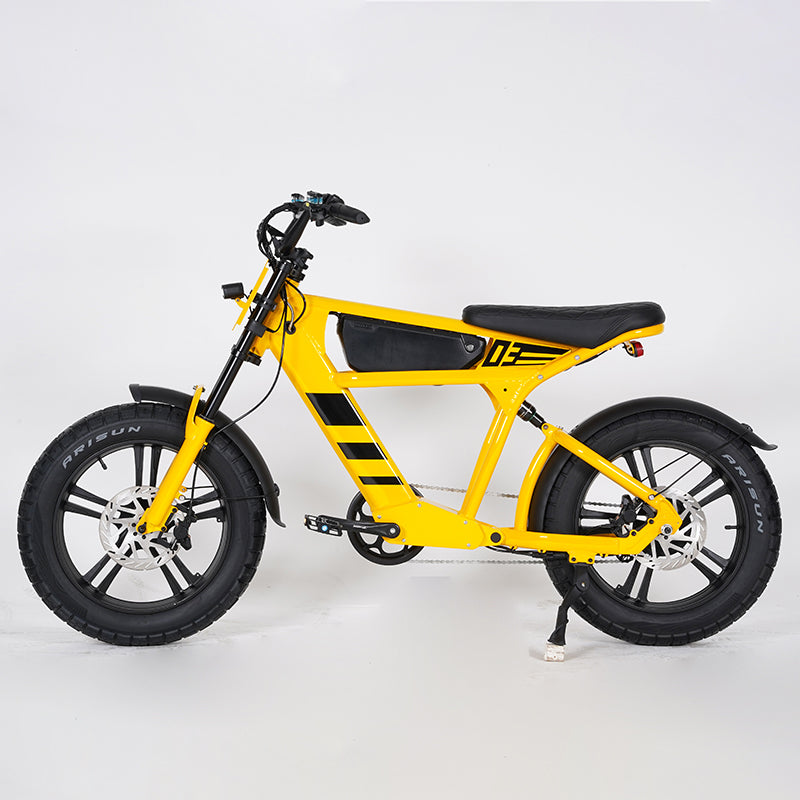 ebike for students