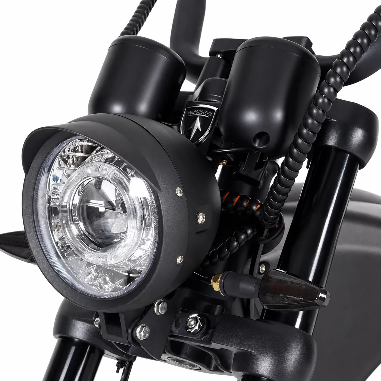 Mangosteen M1P Electric Scooter-Upgraded