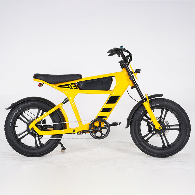 wholesale ebike college students