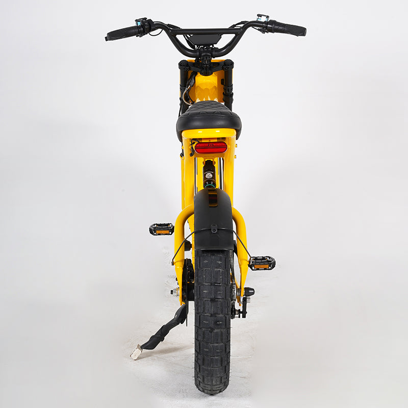 wholesale ebike for college students