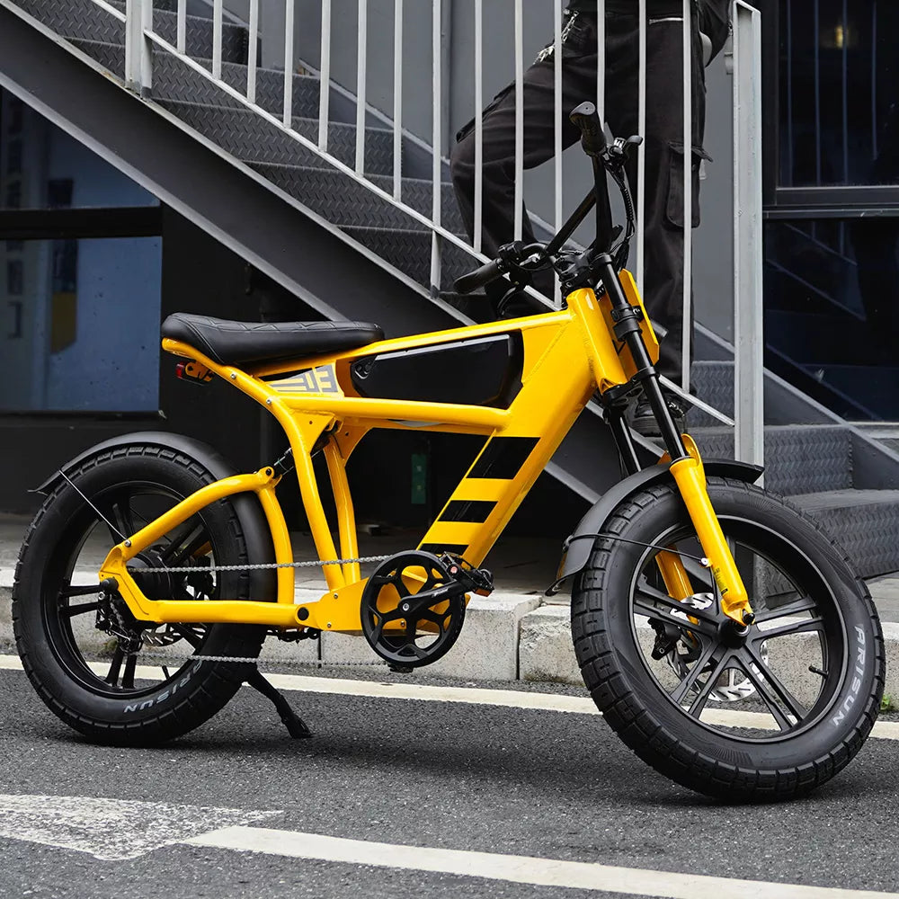 Mangosteen FT03 Electric Bike for Adult